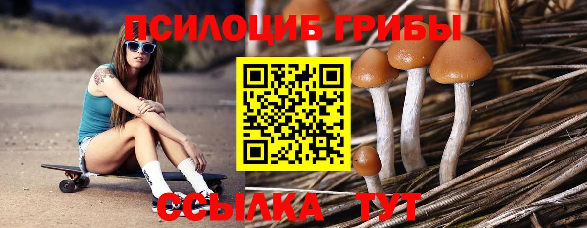 Галлюциногенные грибы Psilocybine cubensis  Псилоцибиновые грибы Psilocybe  Всеволожск  Вход с VPN 